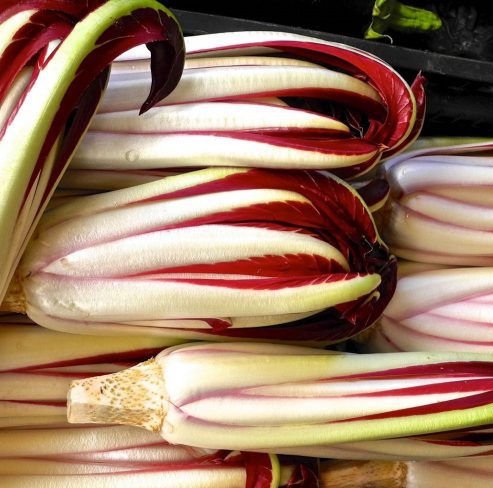 fagottino di treviso radicchio ricette contorno